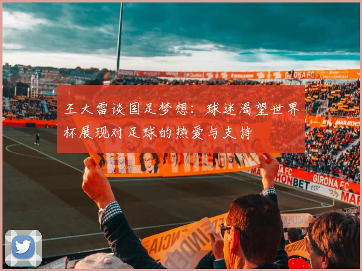 王大雷谈国足梦想：球迷渴望世界杯展现对足球的热爱与支持